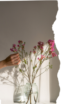 La primavera y mis emociones: verbos tipo gustar.